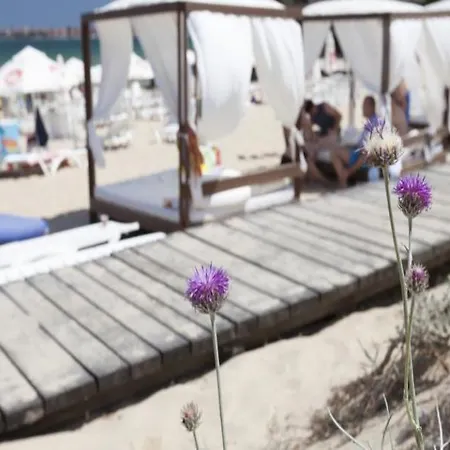 Hotel Amfora Sunny Beach